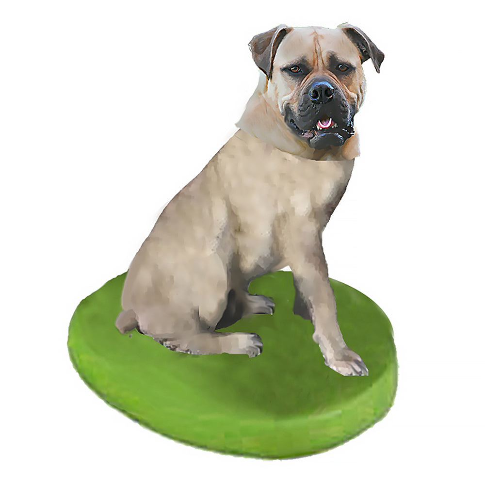 Custom Pet Dog Bobblehead - Bull Mastiff White Fawn